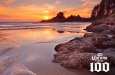 Coastal-Inspired Beer Campaigns