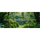 AI Video Creation Image 1