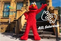 ASL-Friendly Entertainment Initiatives