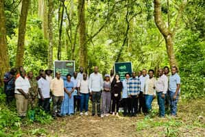 Forest Restoration Initiatives Article Thubnail