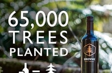 Tree-Planting Retail Initiatives