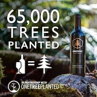 Tree-Planting Retail Initiatives