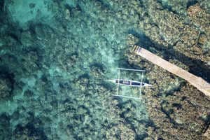 Ocean Conservation Initiatives Article Thubnail