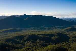 Reforestation Startup Launches Article Thubnail