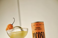 Premium Spicy Sodas