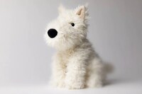 Plush Toy Hotel Campaigns Image 2