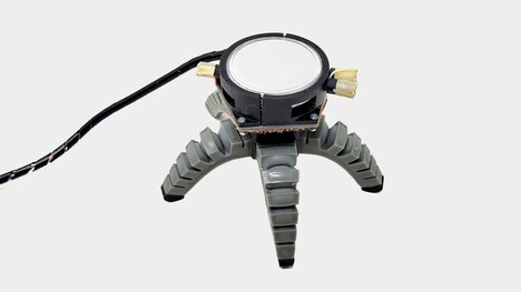 Compact Mycelium Biohybrid Robots