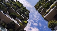 Building Decarbonization Rating Tools