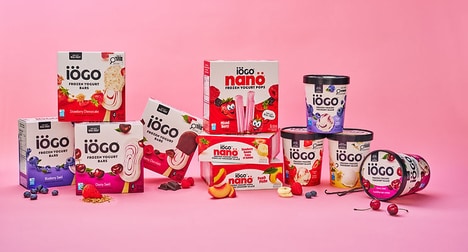Indulgent Frozen Yogurt Treats