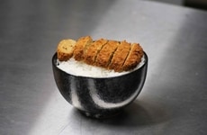 Nutrient-Dense Protein Ingredients