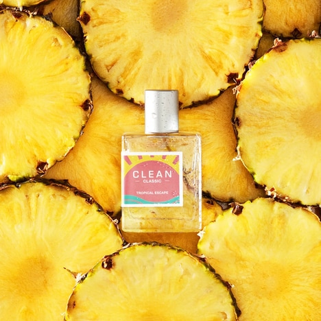 Tropical Island Fragrances