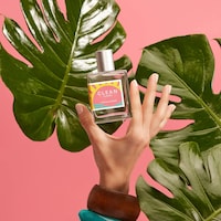 Tropical Island Fragrances Image 2