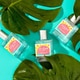 Tropical Island Fragrances Image 5