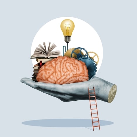 Educational AI Subscriptions