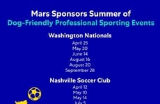 Canine-Friendly Sporting Events