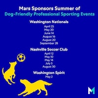 Canine-Friendly Sporting Events