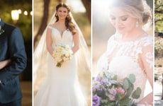 Elegant Bridal Lines