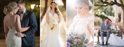 Elegant Bridal Lines