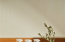 Exclusive Retailer Cleaning Products