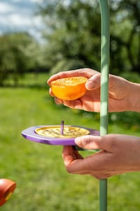 Smart Nature Observatories Image 5