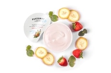 Artisanal Youth Yogurts