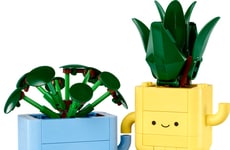 Personable Botanical-Themed Puzzles