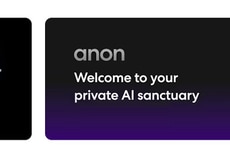 Private AI Assistants