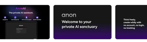 Private AI Assistants