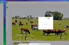 AI Data Labeling Tools