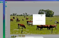 AI Data Labeling Tools