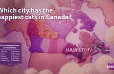 Research-Backed Cat Happiness Scales
