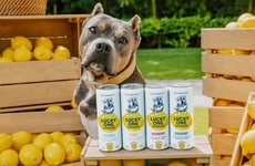 Refreshing Vodka Lemonade RTDs