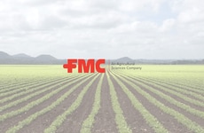 Armyworm Pest Control Solutions