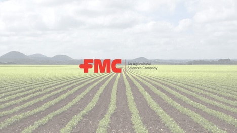 Armyworm Pest Control Solutions