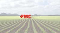 Armyworm Pest Control Solutions