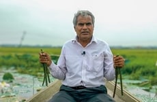 Plant-Based Silk Fabrics Article Thumbnail