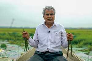 Plant-Based Silk Fabrics Article Thubnail