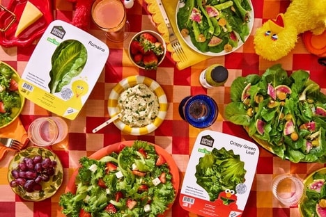 Gen-Alpha Targeted Packaging Designs