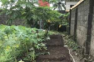 Food Security Initiatives Article Thubnail