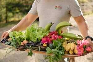 20 Innovations Redefining the Carbon Impact of Food Article Thubnail