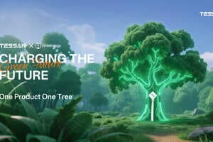 Connective Conservation Efforts Article Thubnail