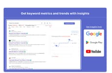Real-Time SEO Insights