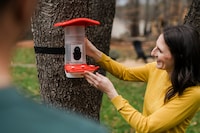 Smart Hummingbird Feeders Image 1