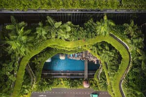 Organic Plant-Covered Exteriors Article Thubnail