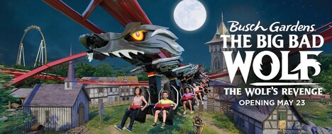 Inverted Roller Coasters