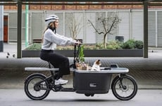 Roomy Cargo Electric Bikes