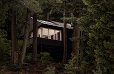 Black-Stained Wooden Cabins
