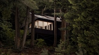 Black-Stained Wooden Cabins
