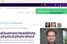 Website Optimization Assistants