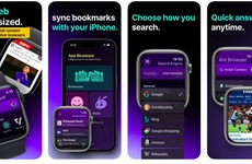 Wrist-Based Web Access